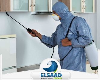 شركة مكافحة حشرات في العين
