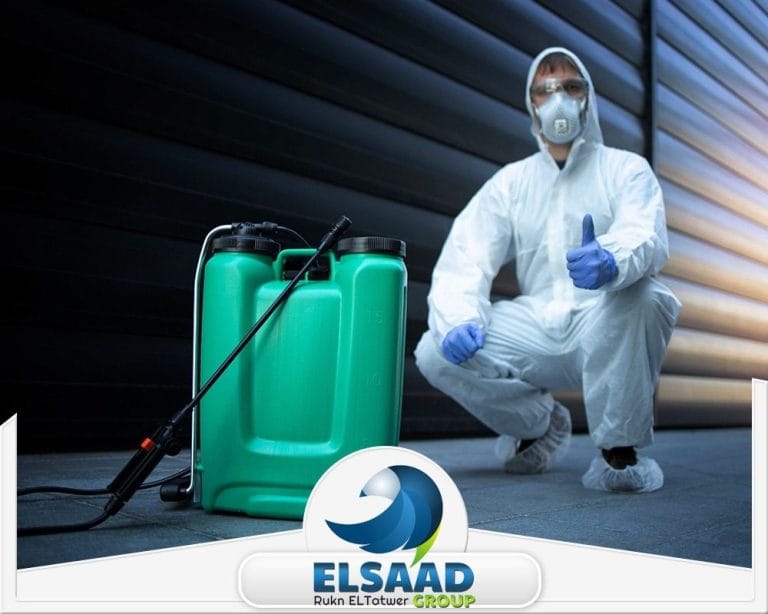 خدمات مكافحة الحشرات