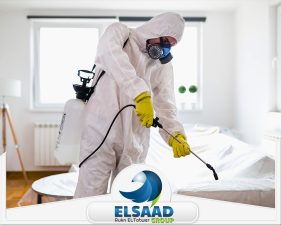 شركة تعقيم في أم القيوين