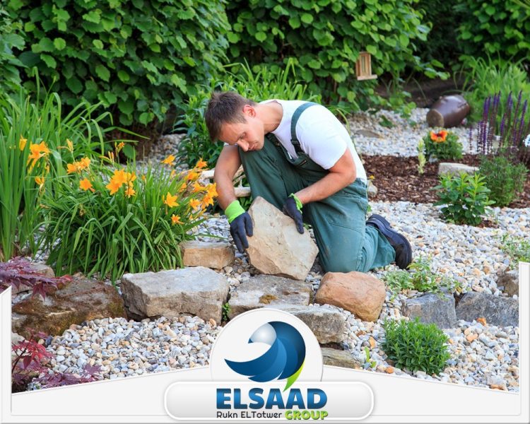 شركة تنسيق حدائق العين