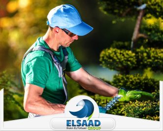 شركة تنسيق حدائق أبوظبي