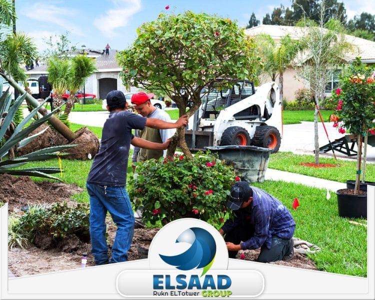 شركة تنسيق حدائق في الفجيرة