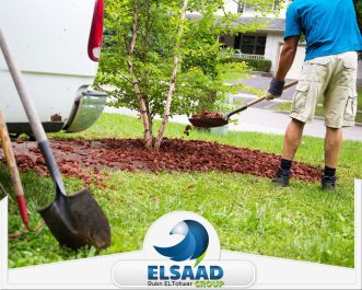 شركة تنسيق حدائق في الشارقة