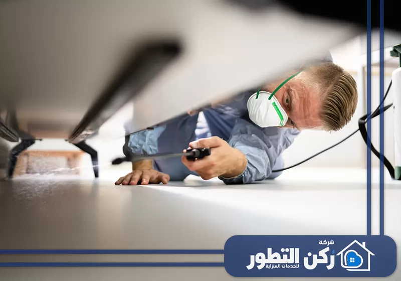 شركة مكافحة النمل الأسود والأحمر في أبوظبي