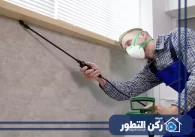شركة مكافحة حشرات في العين